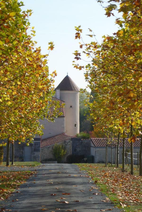 Chateau D'Annezay Εξωτερικό φωτογραφία
